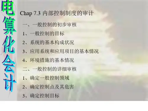 内部控制制度的审计PPT