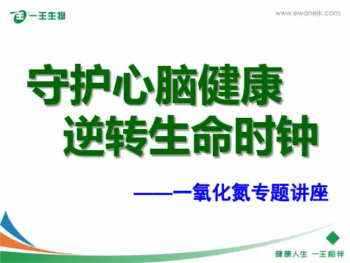 一氧化氮幻灯片