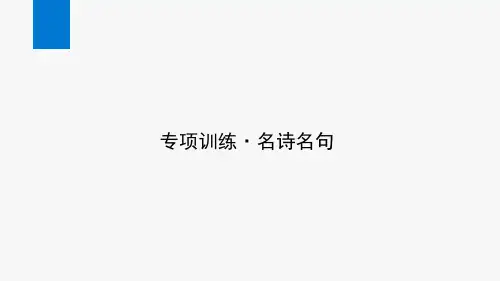 部编版七年级下册语文期末复习专题卷(四)——名诗名句
