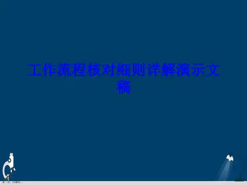 工作流程核对细则详解演示文稿