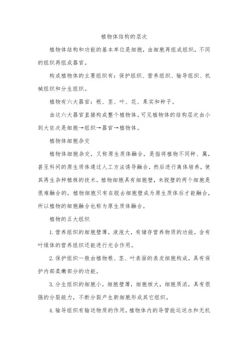 植物体结构的层次