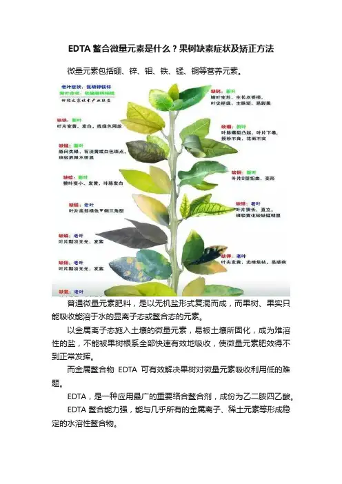 EDTA鳌合微量元素是什么？果树缺素症状及矫正方法