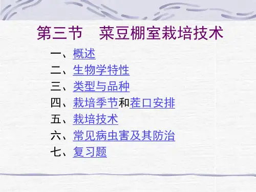 第三节 菜豆栽培