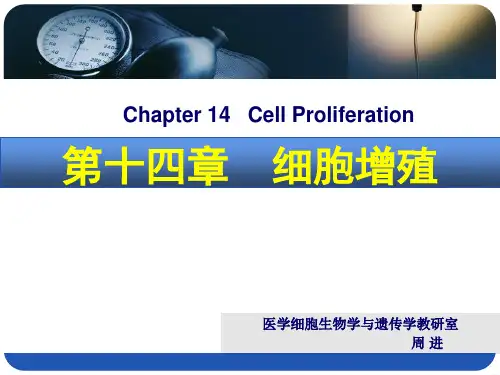 细胞生物学细胞增殖(1)