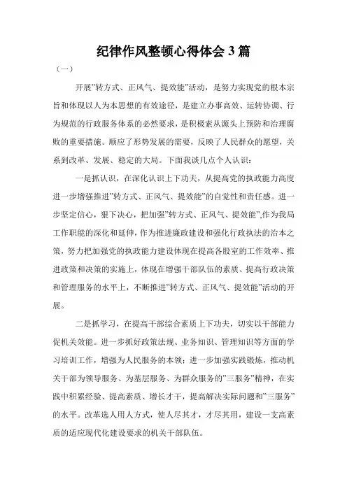 纪律作风整顿心得体会3篇