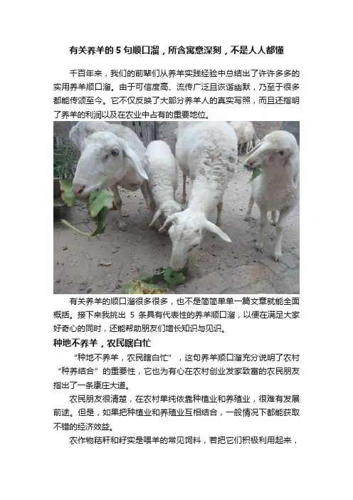 有关养羊的5句顺口溜，所含寓意深刻，不是人人都懂