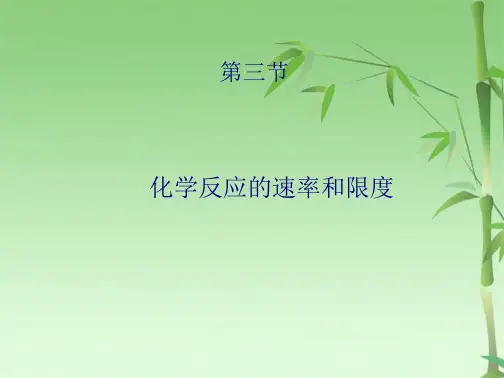 化学反应速率(共24张PPT)