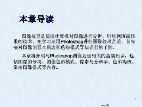 Photoshop图像处理标准教程第1章图像处理基础知识ppt课件
