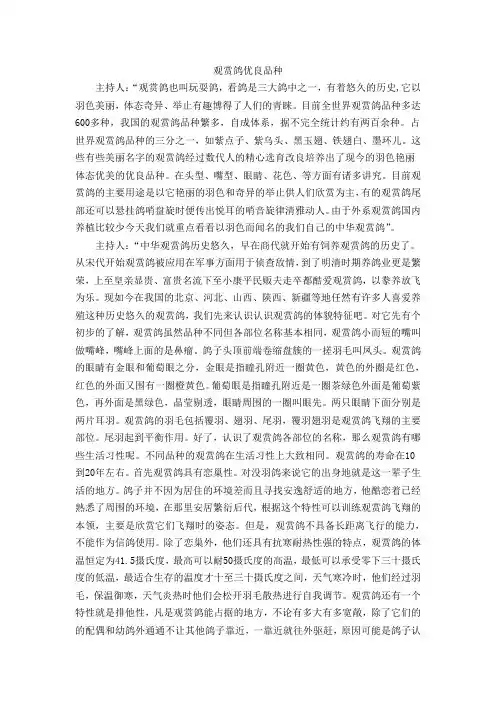 观赏鸽优良品种