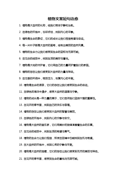 植物文案短句治愈