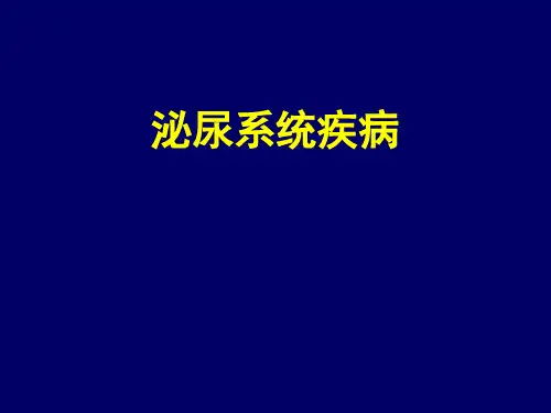 泌尿系统疾病演示精品PPT课件