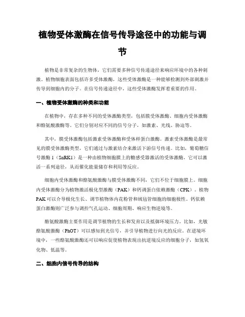 植物受体激酶在信号传导途径中的功能与调节