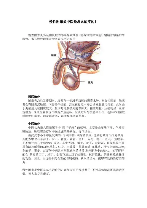慢性附睾炎中医是怎么治疗的？
