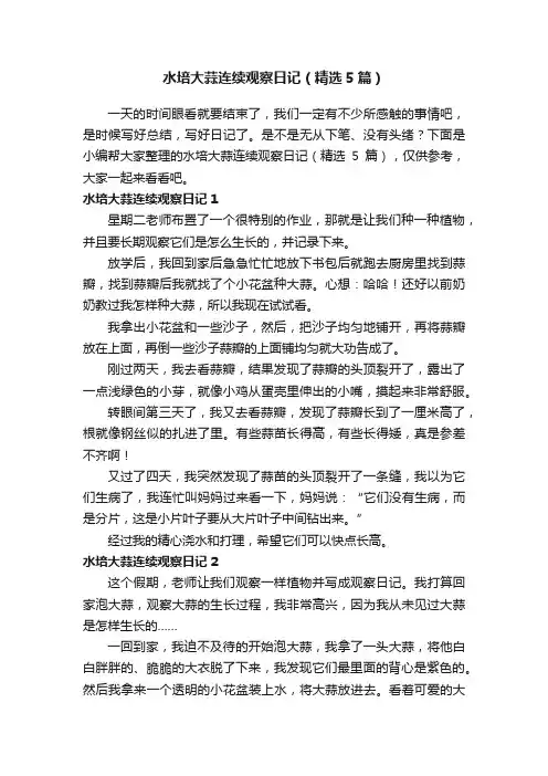 水培大蒜连续观察日记（精选5篇）