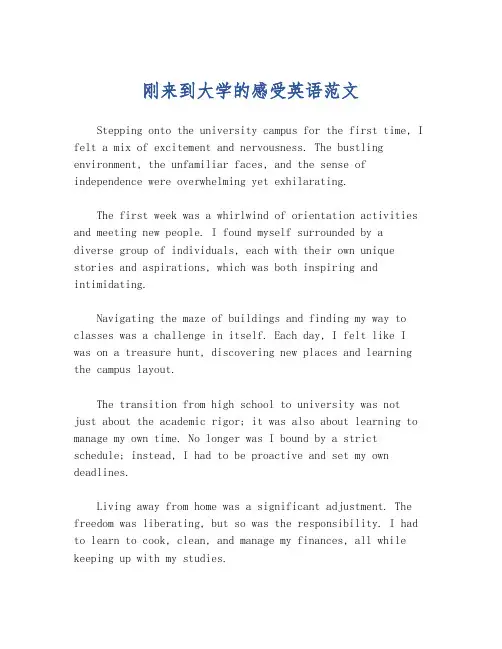 刚来到大学的感受英语范文