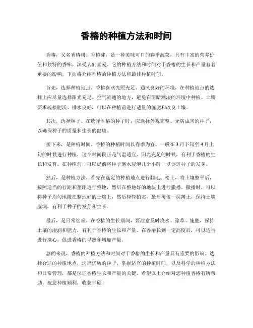 香椿的种植方法和时间