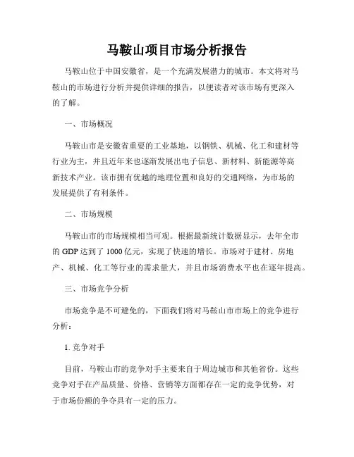 马鞍山项目市场分析报告