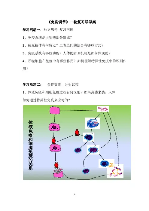 免疫调节导学案