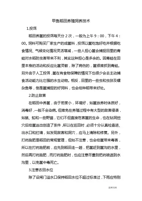 甲鱼稻田养殖饲养技术