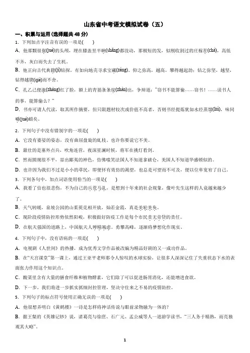 山东省中考语文模拟试卷(五)及答案