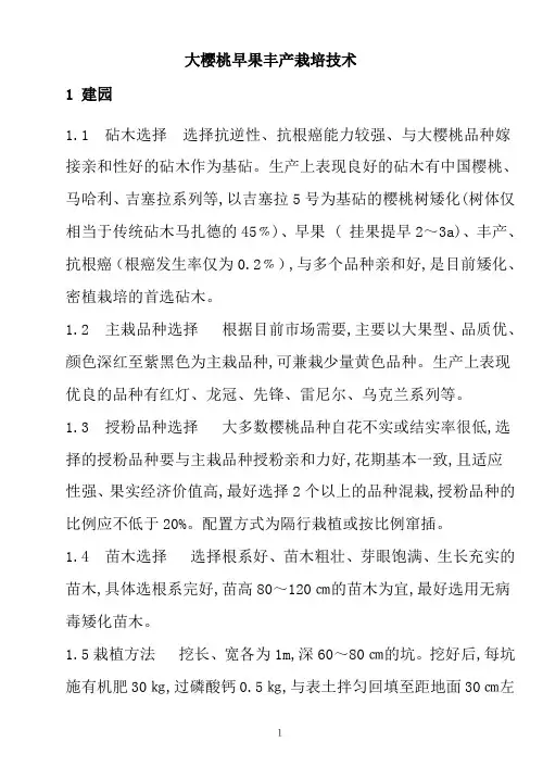 大樱桃早果丰产栽培技术