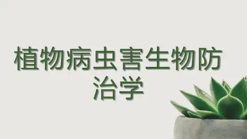 第十五章  昆虫疾病流行学