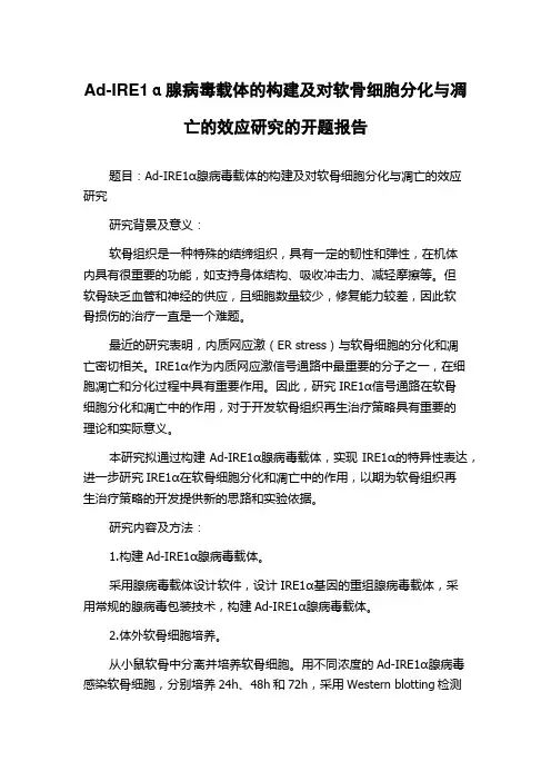 Ad-IRE1α腺病毒载体的构建及对软骨细胞分化与凋亡的效应研究的开题报告