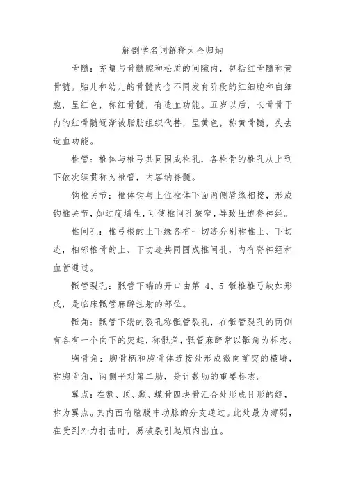 解剖学名词解释大全归纳