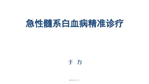 aml精准诊疗PPT课件