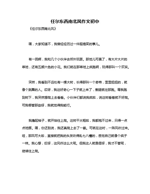 任尔东西南北风作文初中
