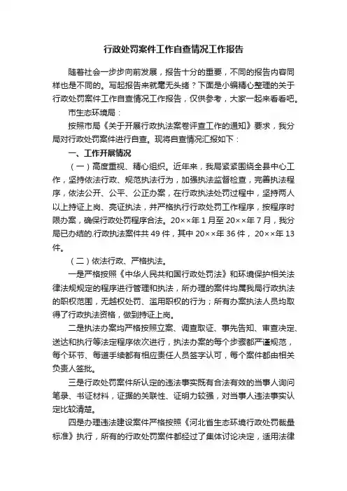 关于行政处罚案件工作自查情况工作报告