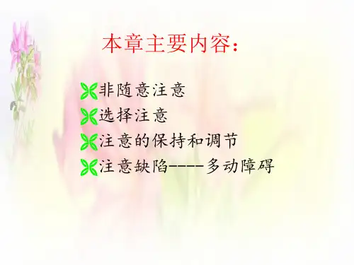 第四章注意(1)