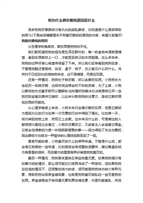 狗为什么喜欢撕纸原因是什么