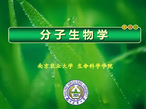 农业大学之染色体与DNA讲义课件