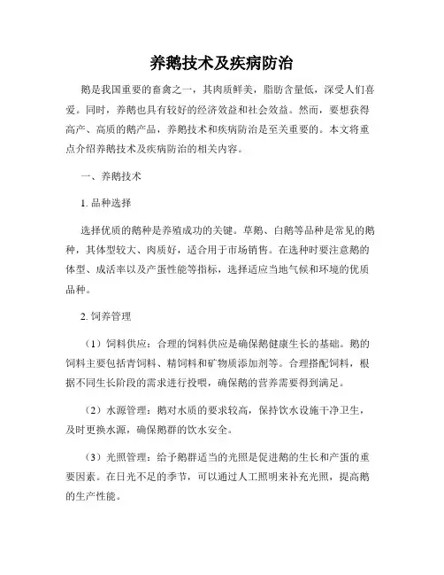 养鹅技术及疾病防治