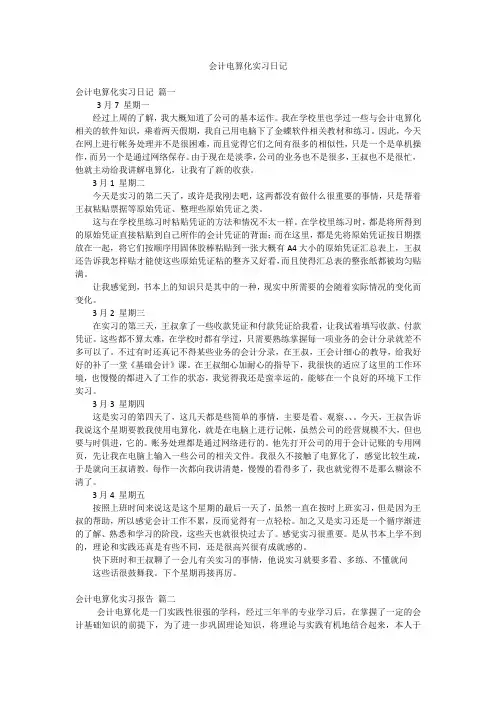 会计电算化实习日记