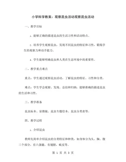 小学科学教案：观察昆虫活动