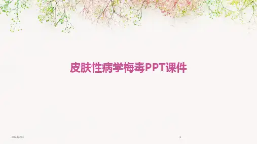2024版年度皮肤性病学梅毒PPT课件