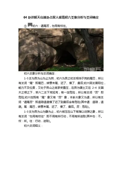 64卦详解天山遁卦占双人感情初六爻象分析与爻词确定