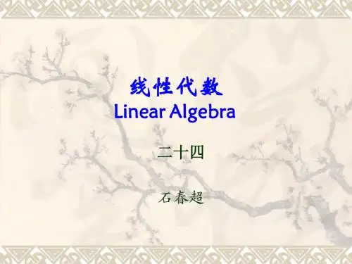 线性代数-第二十四讲(课程最后一讲)