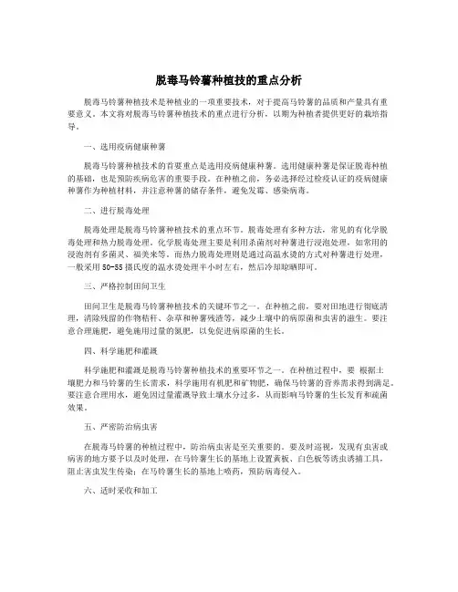 脱毒马铃薯种植技的重点分析