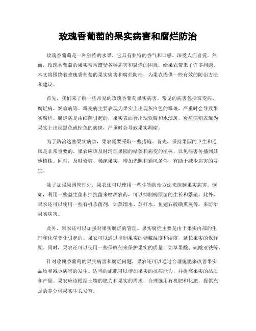 玫瑰香葡萄的果实病害和腐烂防治