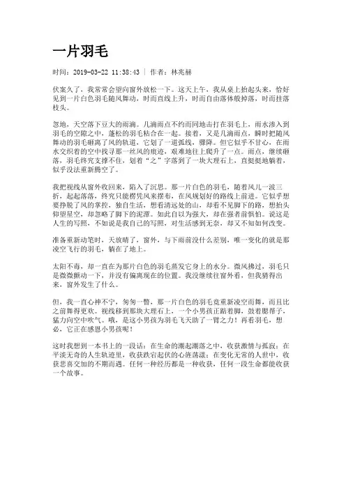 一片羽毛