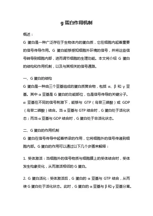 g蛋白作用机制