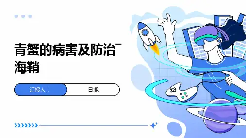 青蟹的病害及防治―海鞘
