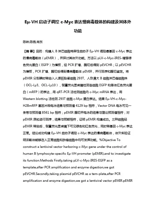 Eμ-VH 启动子调控 c-Myc 表达慢病毒载体的构建及其体外功能
