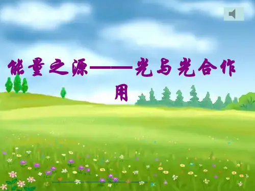 能量之源—光与光合作用PPT教学课件