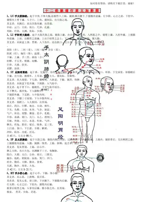 针灸学 十二经脉 循行 灵枢 原文 加 彩图 (经典图文并茂)
