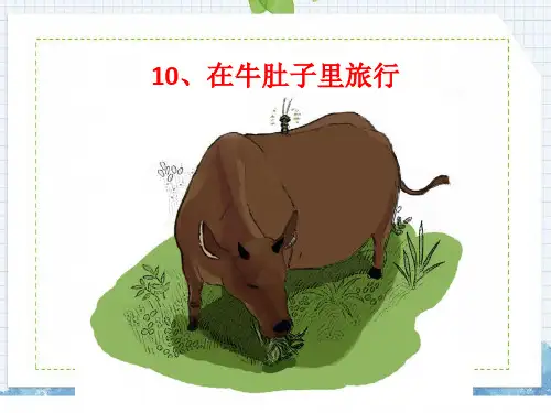 第10课在牛肚子里旅行(课件)语文三年级上册