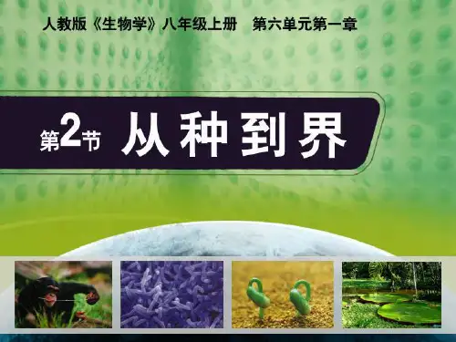 6.从种到界课件(人教版生物)